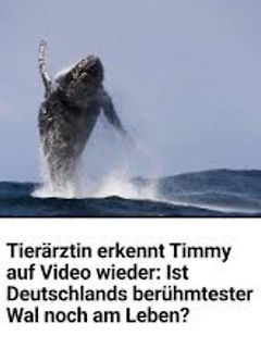Meme mit springendem Wal und deutschem Text