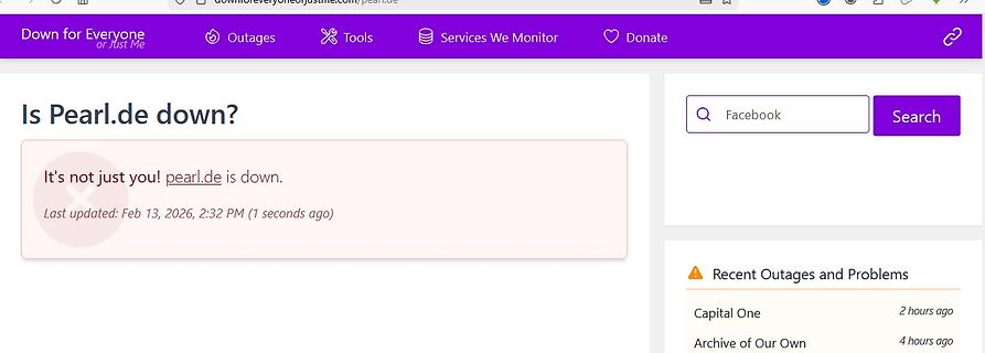 Screenshot der Website downforeveryoneorjustme.com