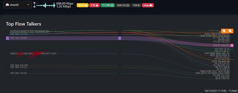 Netzwerk-Traffic-Analyse Top Flow Talkers