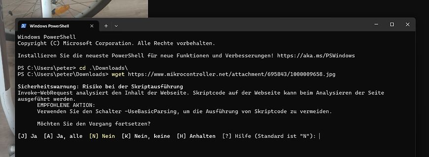 Windows PowerShell Terminal mit wget Befehl