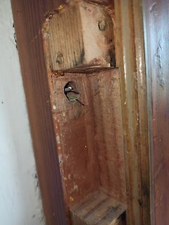 Beschädigtes Holzgehäuse mit Loch