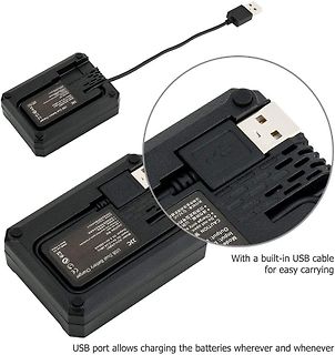 USB Dual Battery Charger