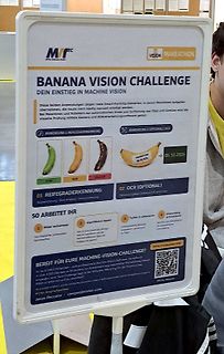 Infotafel zur Banana Vision Challenge