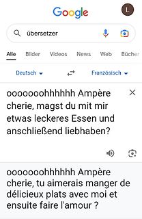 Google Übersetzer Deutsch zu Französisch