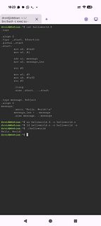 Terminal-Screenshot mit ARM-Assembly Code und Kompilierung