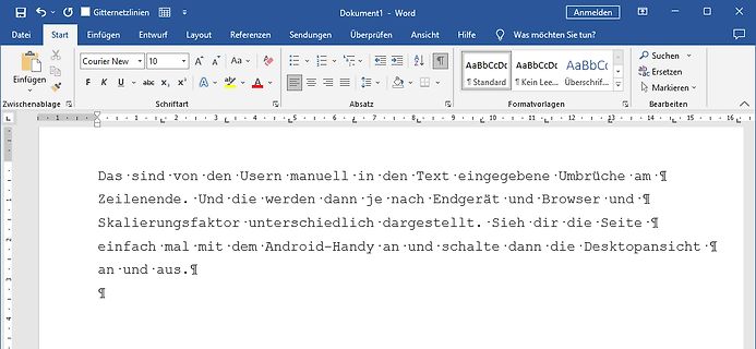 Screenshot eines Word-Dokuments mit deutschem Text