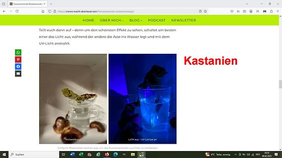 Screenshot eines Blogartikels über fluoreszierende Kastanienzweige