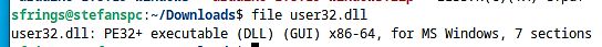 Terminal-Ausgabe des file-Befehls für user32.dll