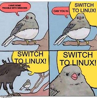 Vogel-Comic über den Wechsel von Windows zu Linux