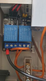 Relaismodul mit blauen Tongling-Relais und Verkabelung