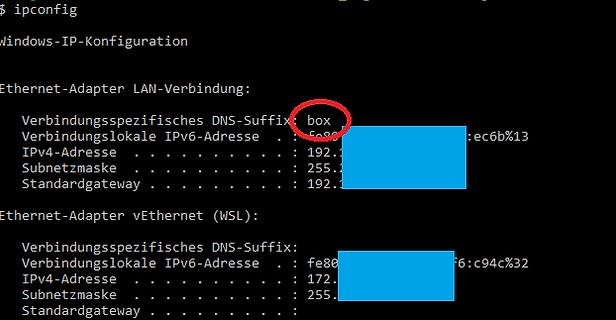 Windows ipconfig Ausgabe im Terminal