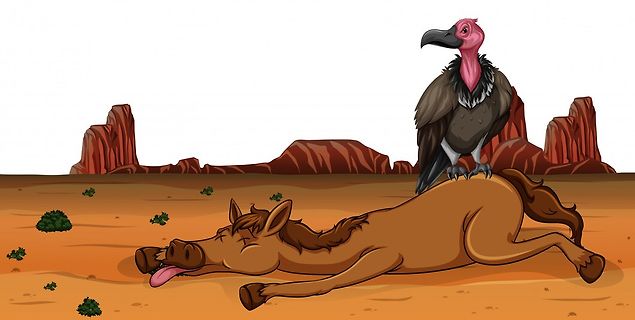 Comiczeichnung eines Geier auf einem toten Pferd