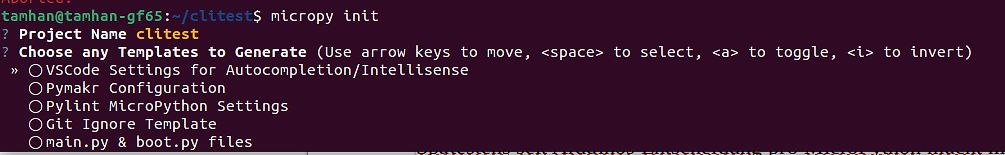 Terminal-Ausgabe eines MicroPython-Projektinitialisierungs-Tools