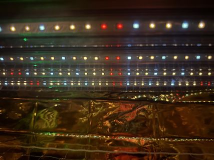 Mehrere Reihen bunter LEDs auf Leiterstreifen