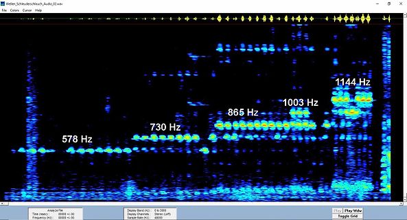 Spektrogramm einer Audioaufnahme mit Frequenzmarkierungen