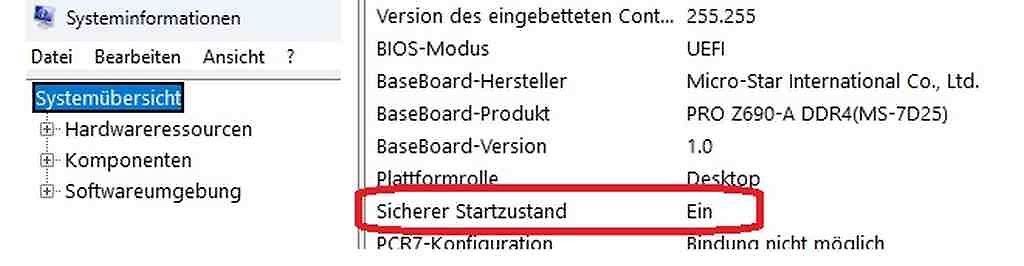 Screenshot der Windows Systeminformationen