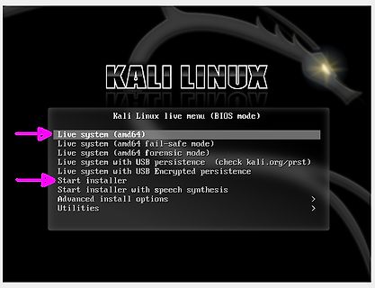 Kali Linux Live Boot Menü
