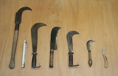 Verschiedene Sichelmesser auf Holzuntergrund