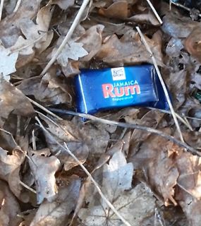 Ritter Sport Schokolade auf Laub