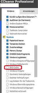 CCleaner Professional Menüauswahl Systemreinigung