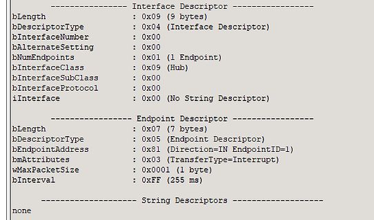 USB Interface und Endpoint Descriptor Daten