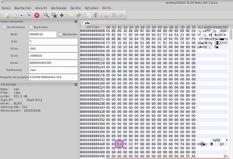 Screenshot eines Hex-Editors