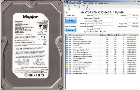 Screenshot der Festplatten-Diagnosesoftware CrystalDiskInfo