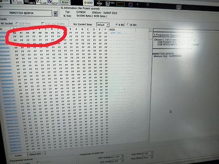 Foto eines Computerbildschirms mit Hex-Editor Software