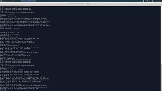 Terminal-Ausgabe eines Flash-Vorgangs für ein ThinkPad T14 Gen 1