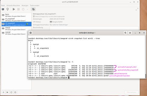 Screenshot von Virtueller Maschine und Terminal-Ausgaben