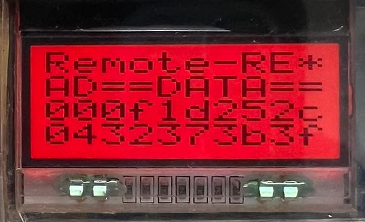 Abfotografiertes LCD-Display mit Textdaten