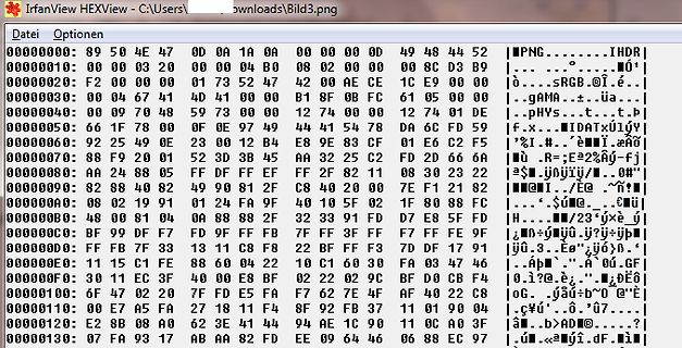 Hex-Editor Ansicht einer PNG-Datei