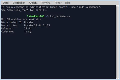 Terminal-Screenshot von Ubuntu-Systeminformationen