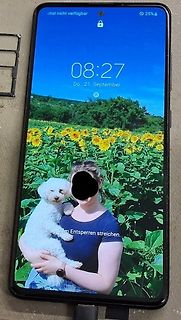 Smartphone mit Hintergrundbild einer Person und Hund