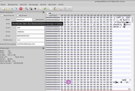 Hex-Editor Ansicht einer Festplatte sda