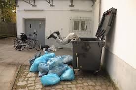 Person springt in Müllcontainer