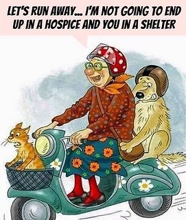 Comic von alter Frau und Hund auf Roller