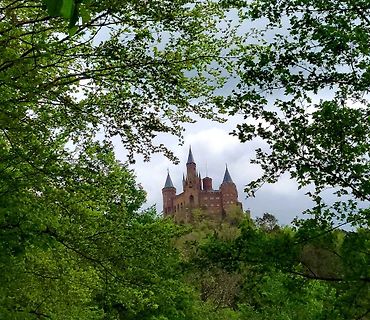 Schloss hinter grünen Bäumen