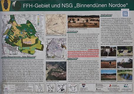 Infotafel zum FFH-Gebiet und NSG Binnendünen Norddeich