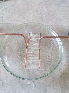 Aufbau mit Kupferdrähten in einer Glasschale