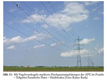 Hochspannungsleitungen mit Vogelwarnkugeln