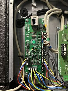 IMG_9176.jpeg